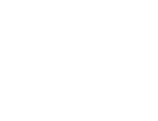 Logo Arora